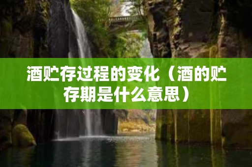 酒贮存过程的变化（酒的贮存期是什么意思）
