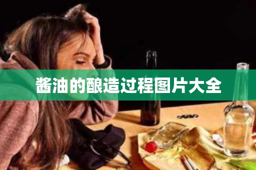 酱油的酿造过程图片大全