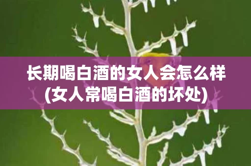 长期喝白酒的女人会怎么样(女人常喝白酒的坏处)