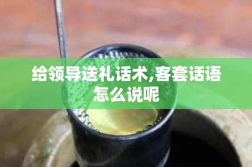 给领导送礼话术,客套话语怎么说呢