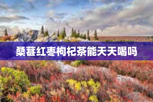 桑葚红枣枸杞茶能天天喝吗
