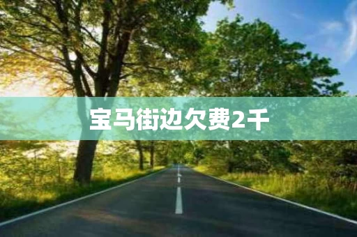 宝马街边欠费2千