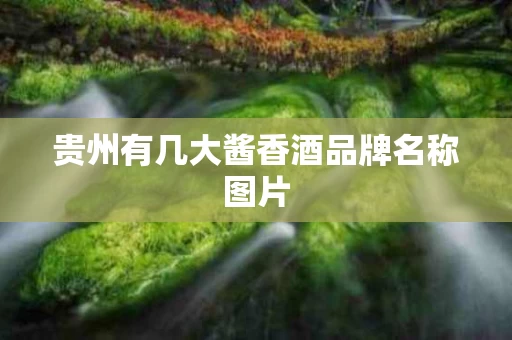 贵州有几大酱香酒品牌名称图片