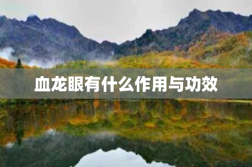 血龙眼有什么作用与功效
