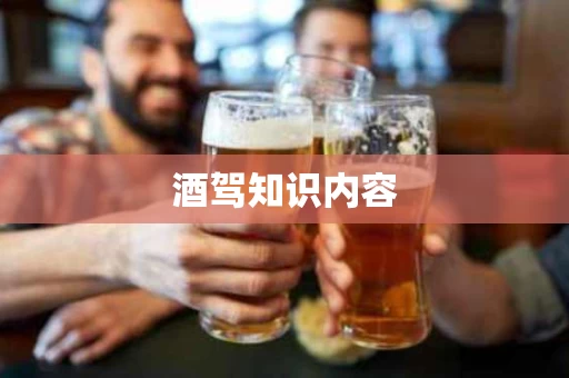 酒驾知识内容