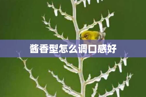 酱香型怎么调口感好