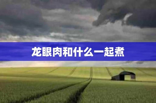 龙眼肉和什么一起煮