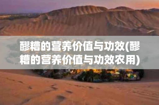 醪糟的营养价值与功效(醪糟的营养价值与功效农用)