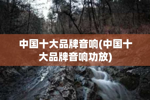 中国十大品牌音响(中国十大品牌音响功放)