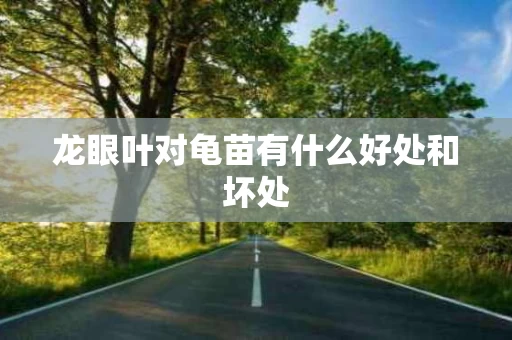 龙眼叶对龟苗有什么好处和坏处