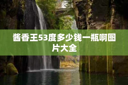酱香王53度多少钱一瓶啊图片大全