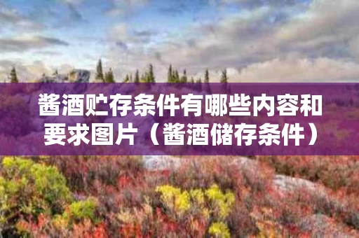 酱酒贮存条件有哪些内容和要求图片（酱酒储存条件）