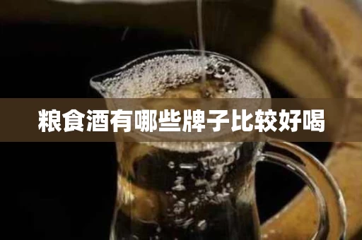 粮食酒有哪些牌子比较好喝