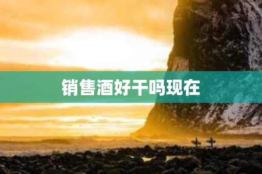 销售酒好干吗现在