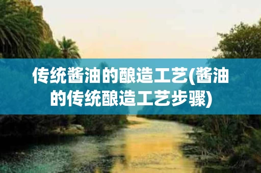 传统酱油的酿造工艺(酱油的传统酿造工艺步骤)