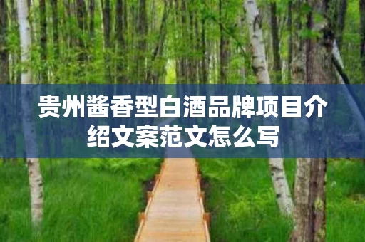 贵州酱香型白酒品牌项目介绍文案范文怎么写