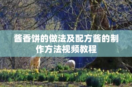 酱香饼的做法及配方酱的制作方法视频教程