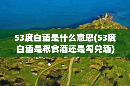 53度白酒是什么意思(53度白酒是粮食酒还是勾兑酒)