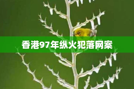 香港97年纵火犯落网案