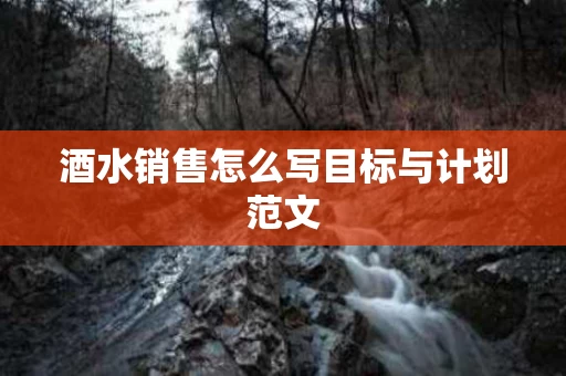 酒水销售怎么写目标与计划范文