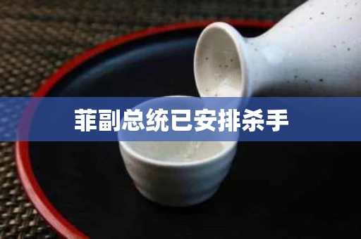 菲副总统已安排杀手