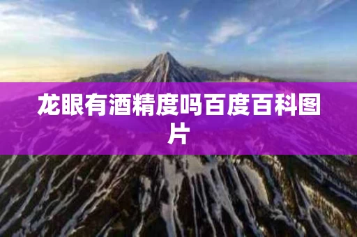 龙眼有酒精度吗百度百科图片
