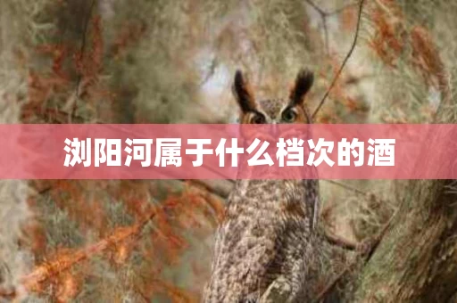 浏阳河属于什么档次的酒