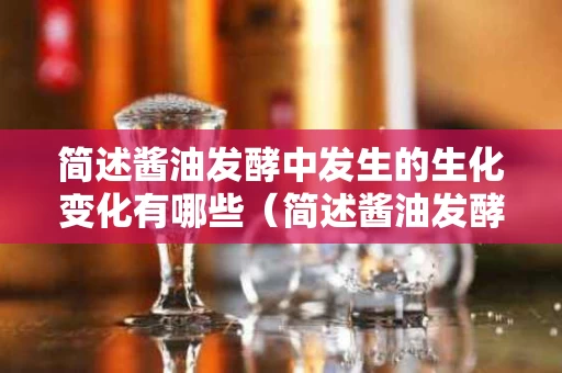 简述酱油发酵中发生的生化变化有哪些（简述酱油发酵中发生的生化变化有哪些方面）
