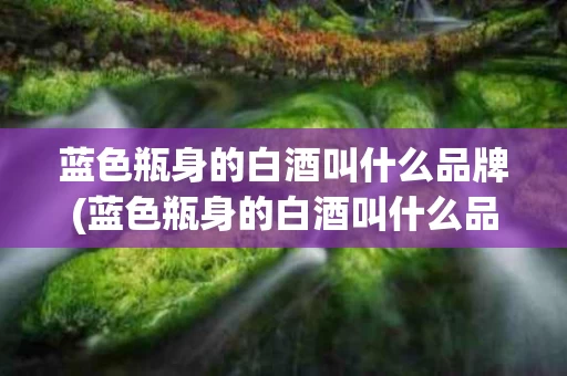 蓝色瓶身的白酒叫什么品牌(蓝色瓶身的白酒叫什么品牌的)