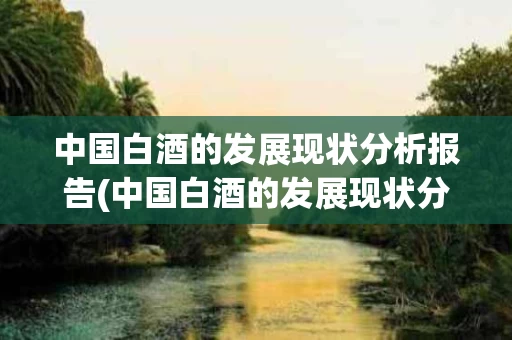 中国白酒的发展现状分析报告(中国白酒的发展现状分析报告怎么写)