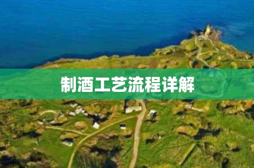 制酒工艺流程详解