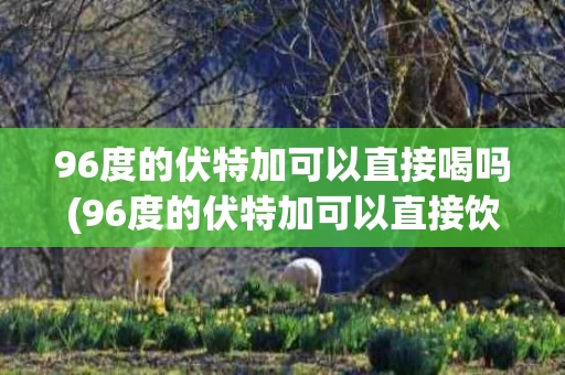 96度的伏特加可以直接喝吗(96度的伏特加可以直接饮用吗)