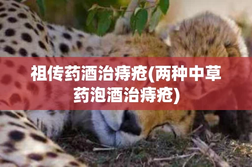 祖传药酒治痔疮(两种中草药泡酒治痔疮)