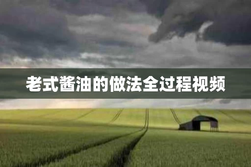 老式酱油的做法全过程视频