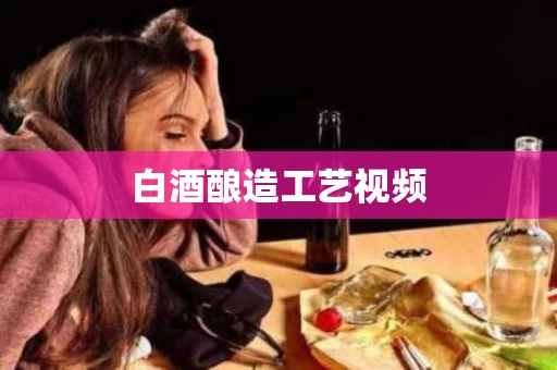 白酒酿造工艺视频