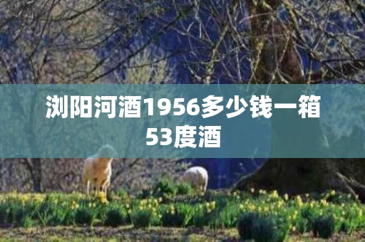 浏阳河酒1956多少钱一箱53度酒