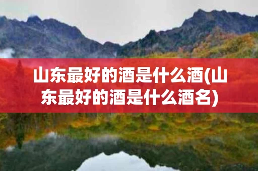 山东最好的酒是什么酒(山东最好的酒是什么酒名)