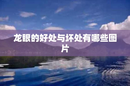 龙眼的好处与坏处有哪些图片