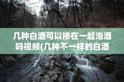几种白酒可以掺在一起泡酒吗视频(几种不一样的白酒能加在一起泡吗?)