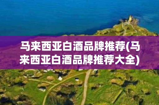 马来西亚白酒品牌推荐(马来西亚白酒品牌推荐大全)