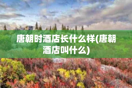 唐朝时酒店长什么样(唐朝酒店叫什么)