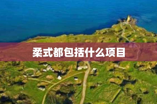 柔式都包括什么项目