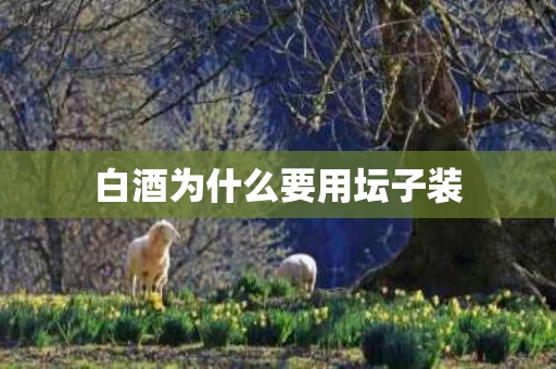 白酒为什么要用坛子装