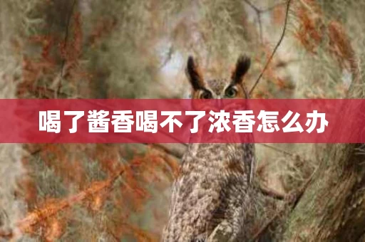 喝了酱香喝不了浓香怎么办