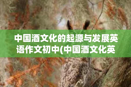 中国酒文化的起源与发展英语作文初中(中国酒文化英语论文)