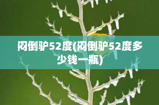 闷倒驴52度(闷倒驴52度多少钱一瓶)