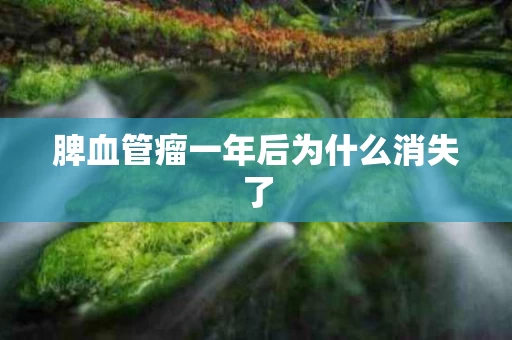 脾血管瘤一年后为什么消失了