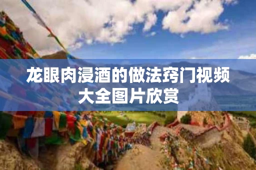 龙眼肉浸酒的做法窍门视频大全图片欣赏