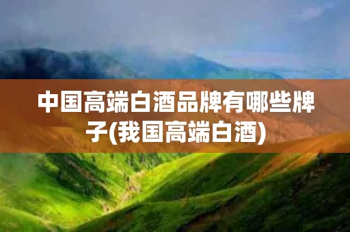 中国高端白酒品牌有哪些牌子(我国高端白酒)