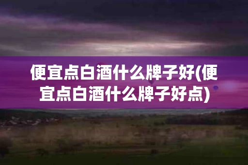 便宜点白酒什么牌子好(便宜点白酒什么牌子好点)